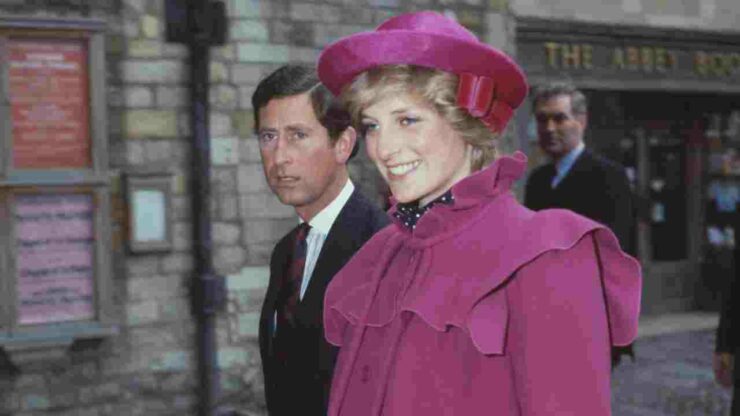 lady diana anonymous