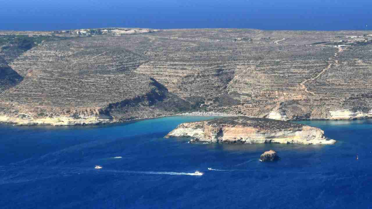 Migranti sbarcano a Lampedusa con barboncino: sembravano vacanzieri