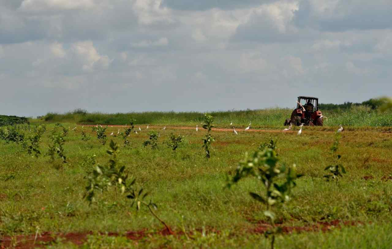 Coronavirus Eboli Azienda Agricola