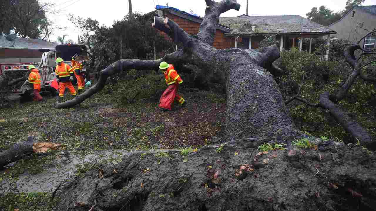 Massa Carrara, albero cade su una tenda: morta bambina di 3 anni