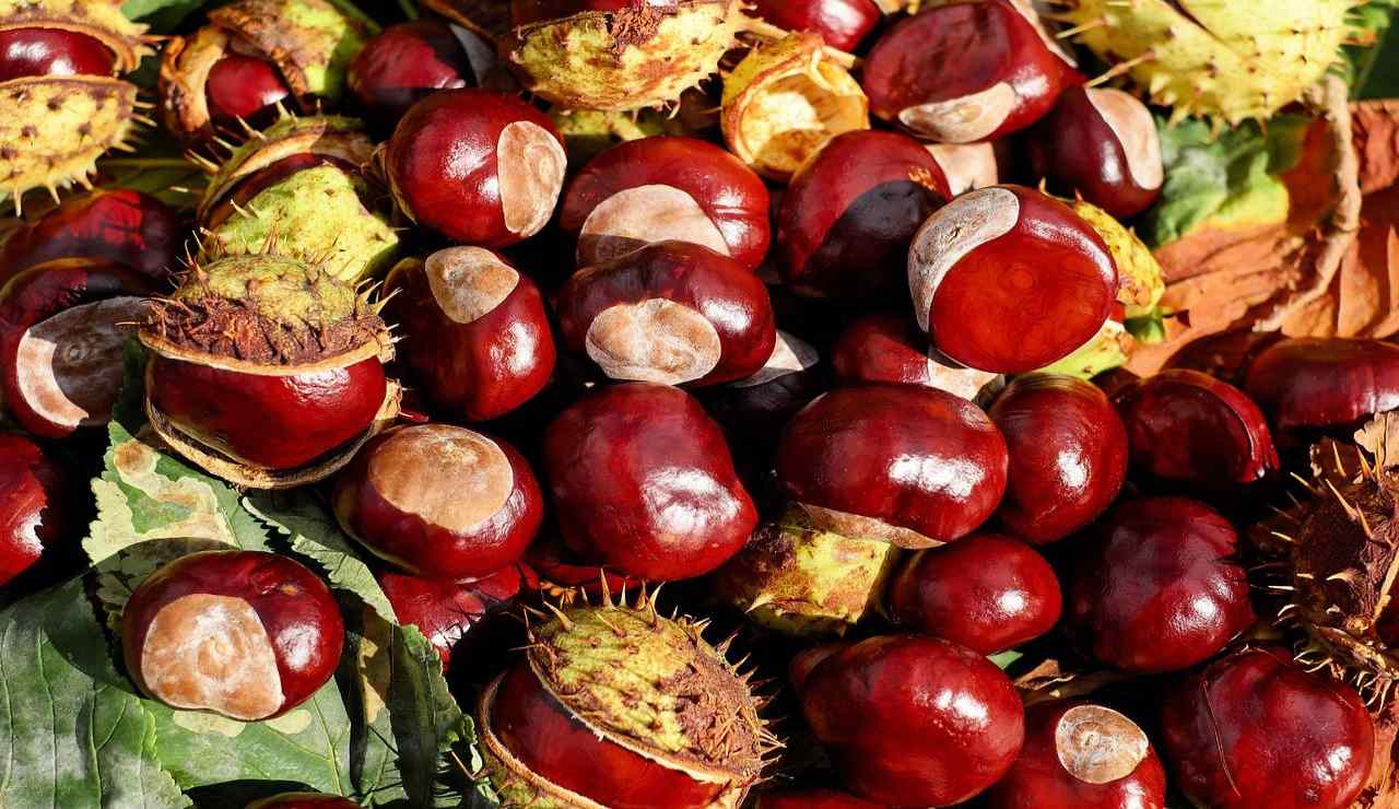 castagne per antipasto