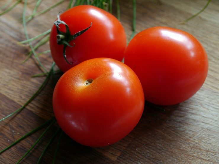 pomodori idee ricette sfiziose