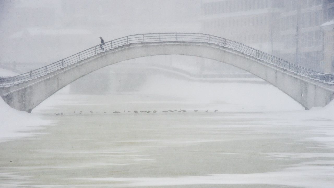 Giornalista precipita dal ponte