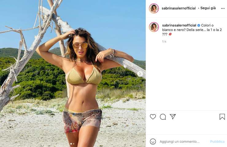 Sabrina Salerno in bikini