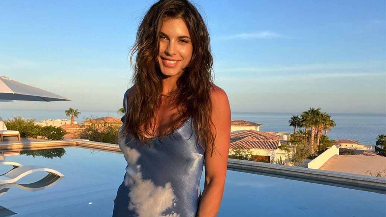 Elisabetta Canalis in posa